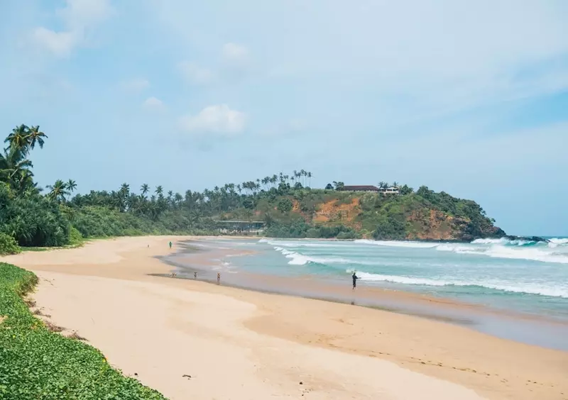 gold sand beach, ocean and a small hill with palm trees