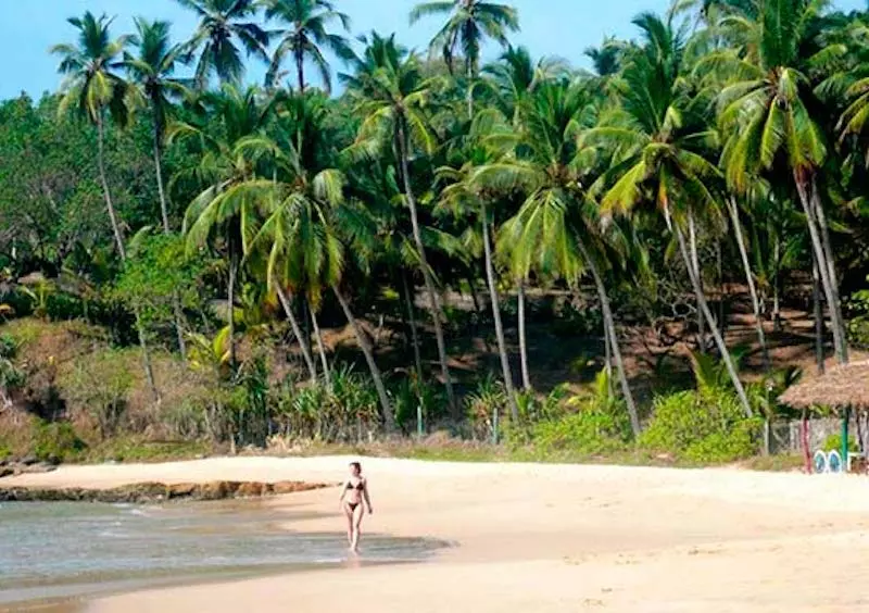 Person walking on a white sand beach with palm trees